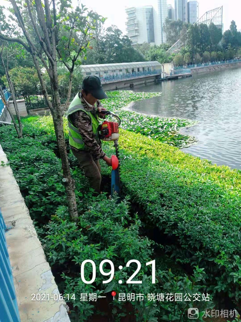 市政管養一體化-玉龍環保4